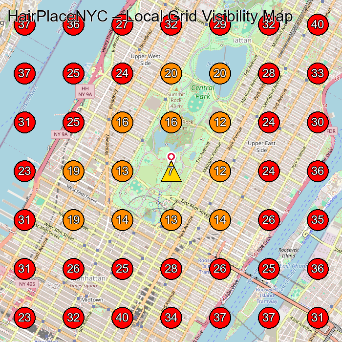 HairPlaceNYC GeoGrid visibility map for Wig Shop in New York